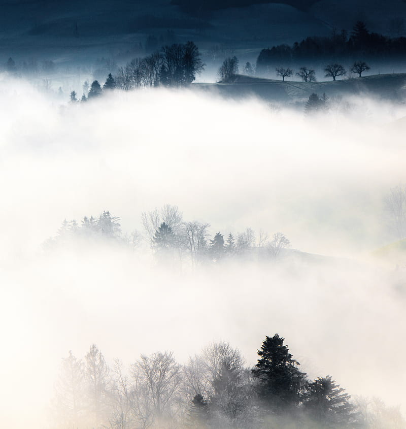 fog, trees, hills, mist, landscape, HD phone wallpaper