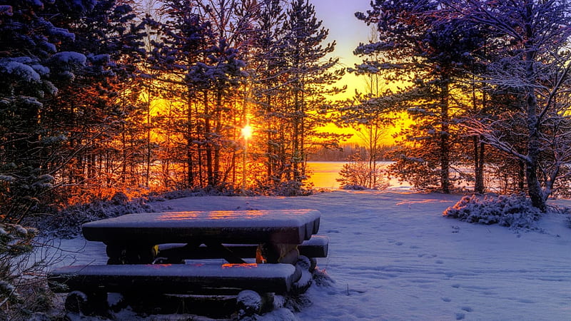 Winter sun, rest, glow, sun, bench, bonito, sunset, trees, winter, snow, sunrise, landscape, HD wallpaper