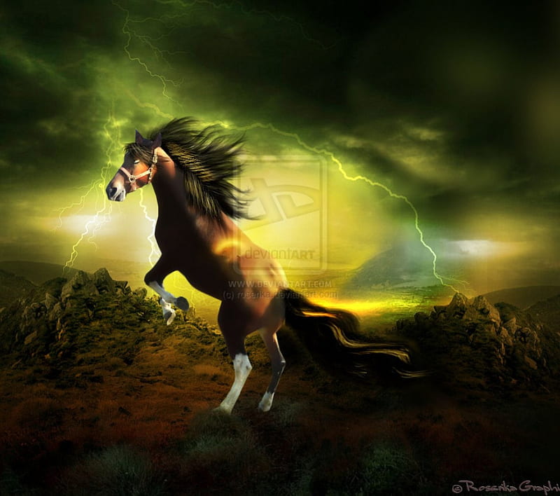 ~Challenge Thunder~, wonderful, tonnerre, horsepower, thunder, cheval, power, creative pre-made, digital art, horse, lightning, manipulation, plants, backgrounds, animals, HD wallpaper