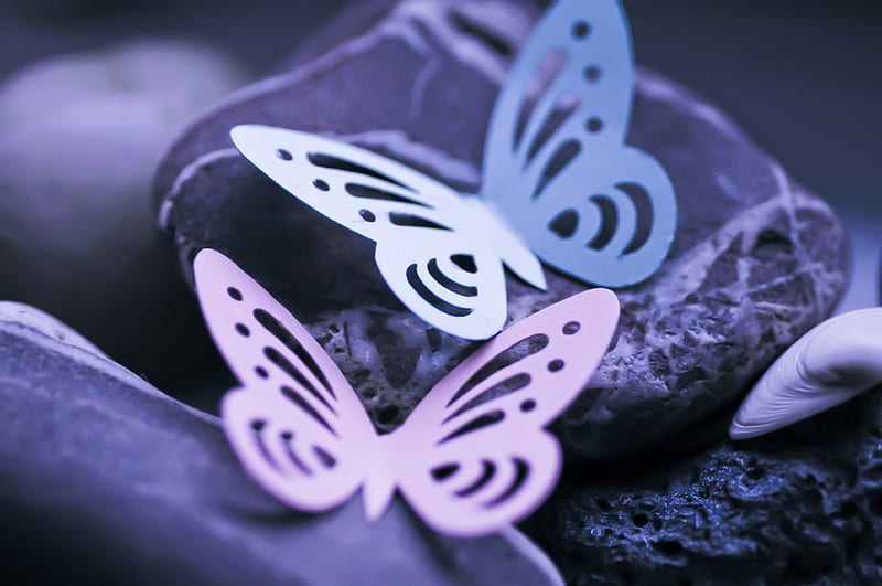 They say there is a reason, wings, clean, bonito, lavender, atmosphere, stones, calm, butterfly, purple, gentle, entertainment, feng shui, violet, fashion, HD wallpaper