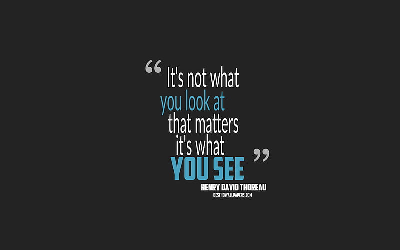It is not what you look at that matters it is what you see, Henry David Thoreau quotes, minimalism, quotes about people, gray background, popular quotes, HD wallpaper