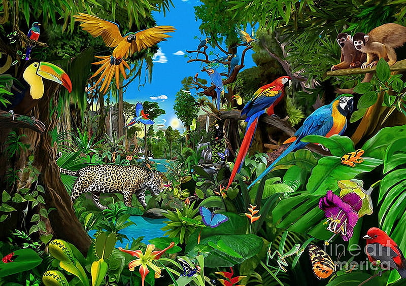 Amazon Sunrise, animals, art, leopard, digital, monkeys, parrots, toucan,  HD wallpaper | Peakpx