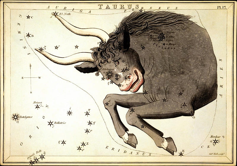 Taurus Constellation, stars, zodiac, ox, animal, horns, constellation, taurus, bull, vintage, HD wallpaper