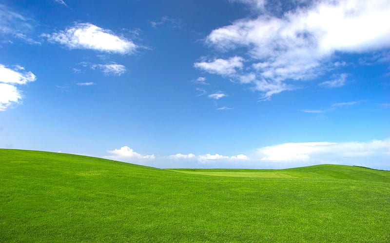 Windows XP Open Field Expanse Version 3, nature, technology, field expanse, windows xp, windows xp nostalgia, background, green field, open field, windows, green, blue sky, blue, HD wallpaper