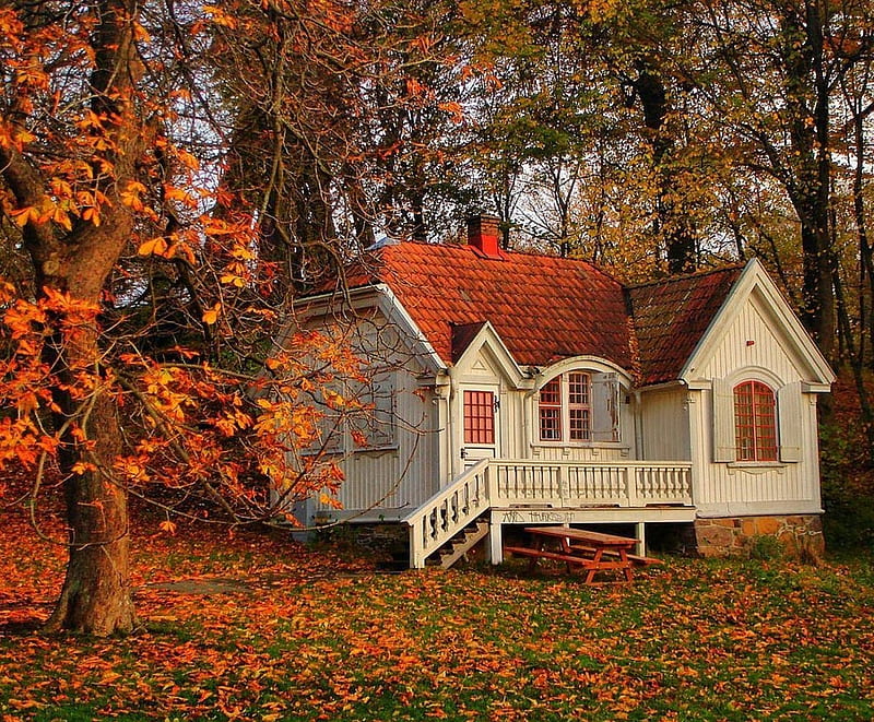 cottage in the fall, forest, autumn, house, meadow, HD wallpaper