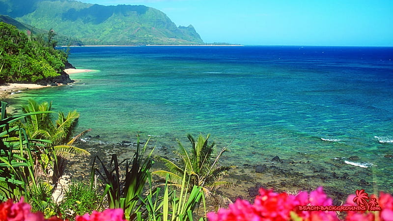 Hawaiian Beach, oceans, beaches, hawaii, flowers, nature, HD wallpaper |  Peakpx