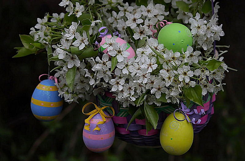 Still Life, Easter, holidays, eggs, flowers, blossoms, HD wallpaper