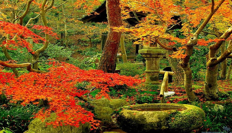 Autumn Garden, Fall, rustic, leaves, Garden, Trees, Autumn, HD ...