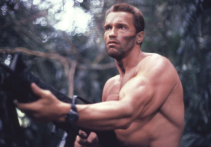 Arnold Schwarzenegger, Predator, Movie, HD wallpaper