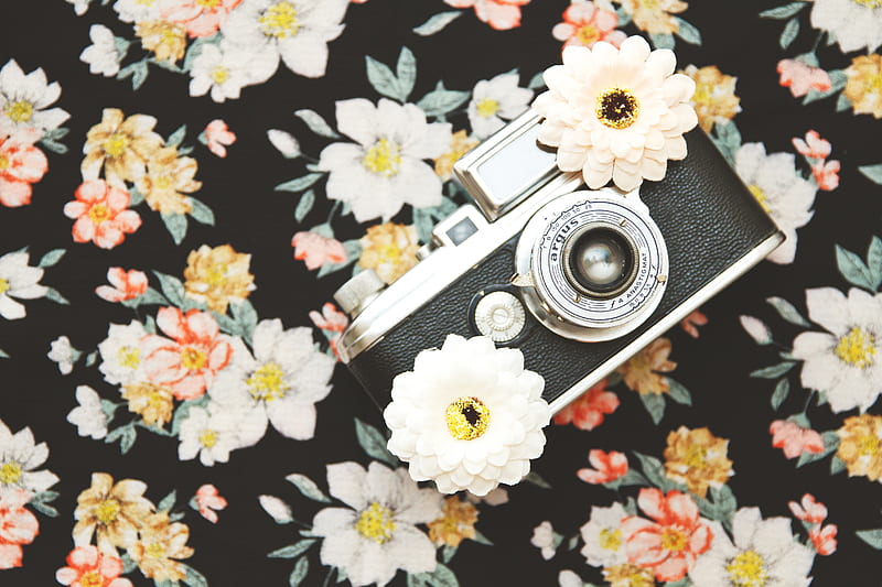 black and silver SLR camera with white flowers, HD wallpaper