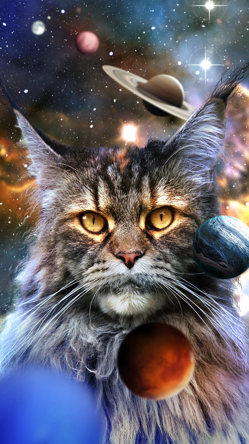 spacecat, Circlestances, cat, cool cosmos, cosmos, galaxy, nebula, planets, space, stars, trippy, weird, HD phone wallpaper