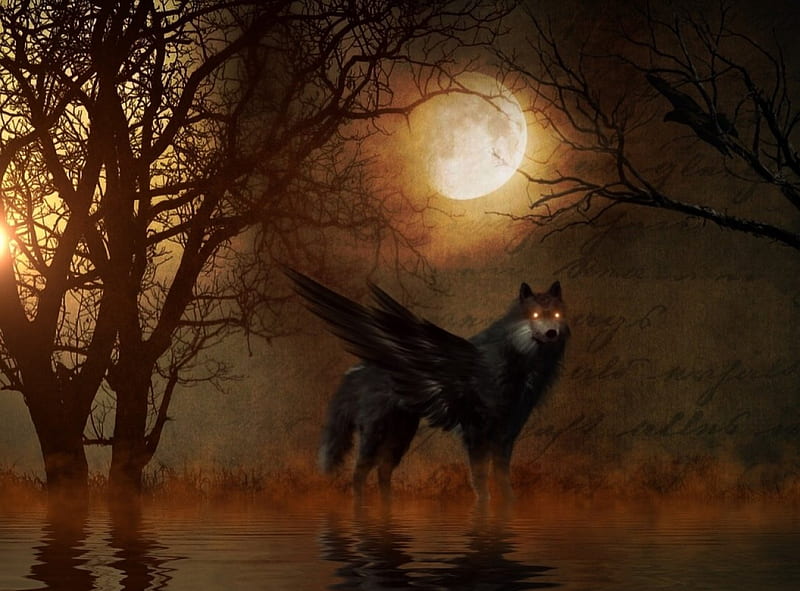 Fantasy wolf at Moonlight Night, fantasy, wings, moonlight, wolf, trees, HD wallpaper
