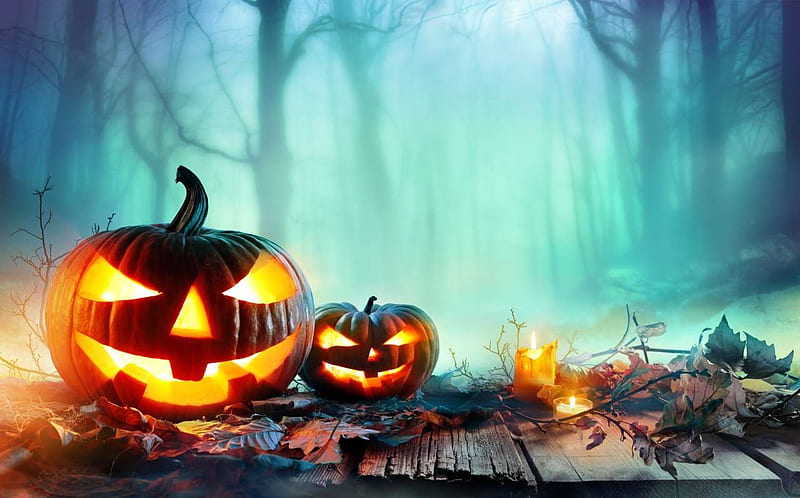 Halloween Evening, forest, trees, lights, pumpkins, night, HD wallpaper ...