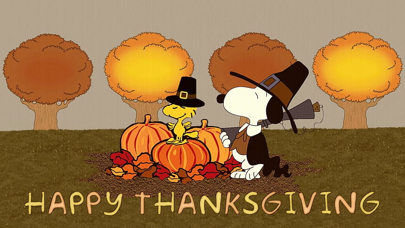 Snoopy Thanksgiving, Fall, hats, Snoopy, Woodstock, trees, Happy Thanksgiving, pilgrims, leaves, Thanksgiving, gun, bird, pilgrim hats, Autumn, pumpkins, dog, HD wallpaper