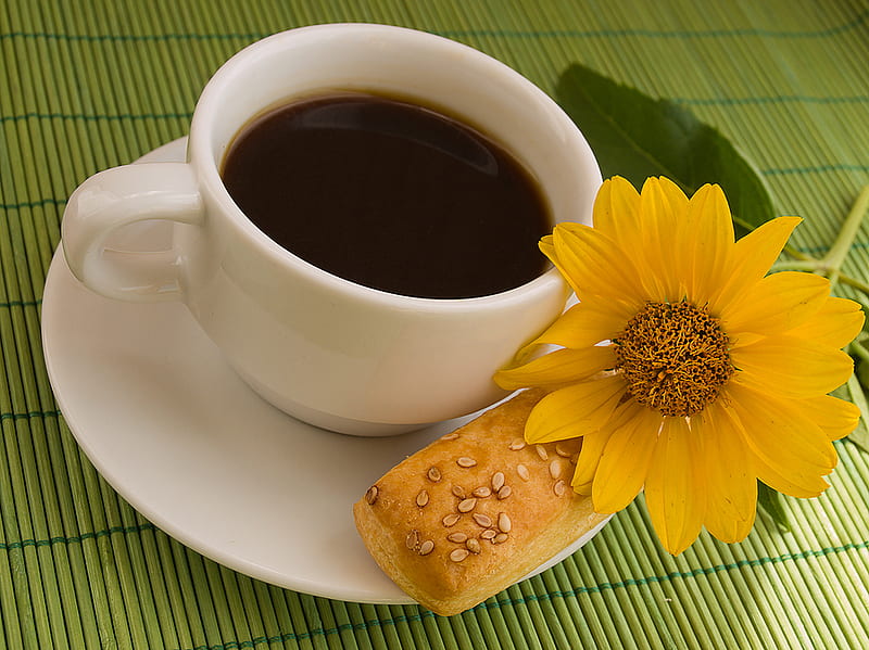 Coffee time, flower, yellow, cup, coffee, HD wallpaper