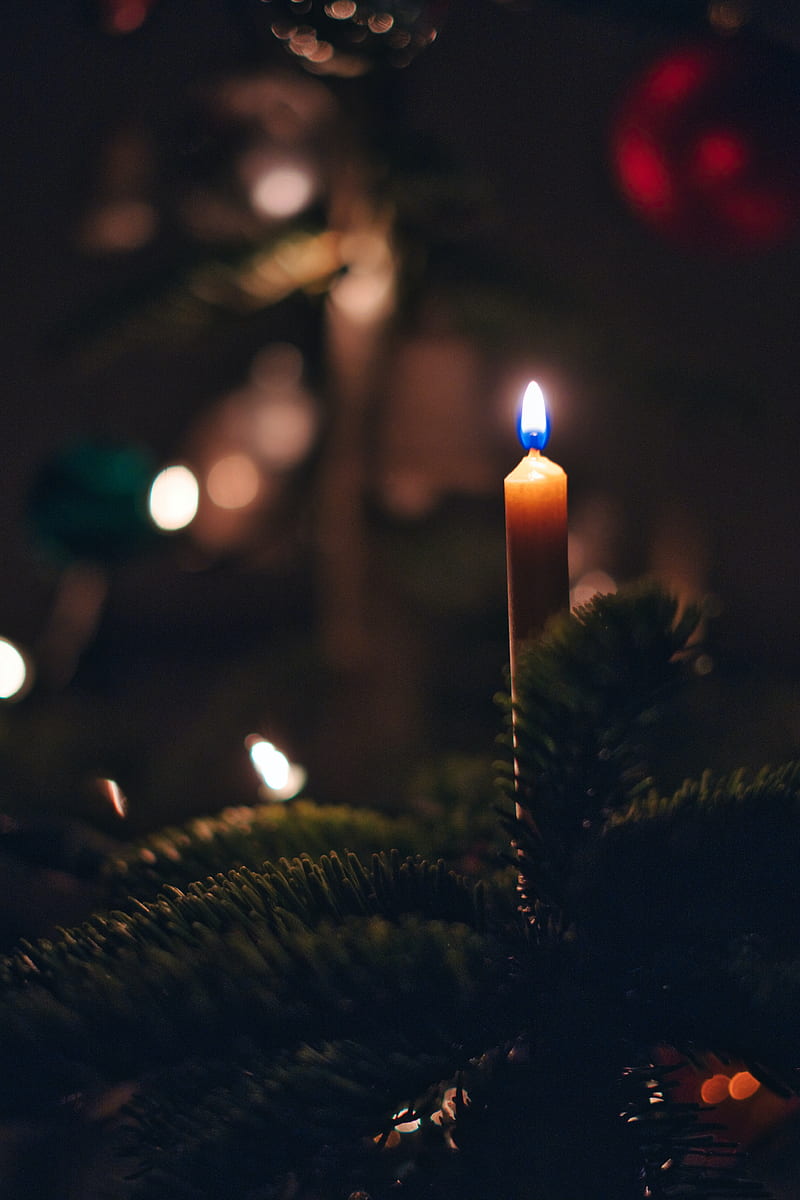 candle, fire, christmas tree, new year, christmas, HD phone wallpaper