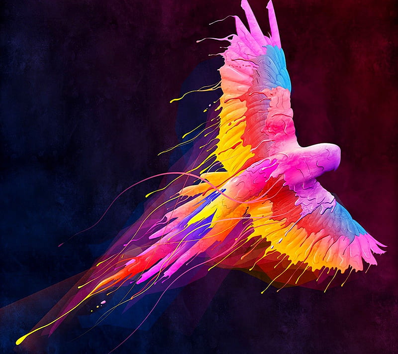 Paint Parrot, red, paint, colors, black, yellow, parrot, bird, multicolor, pink, blue, HD wallpaper