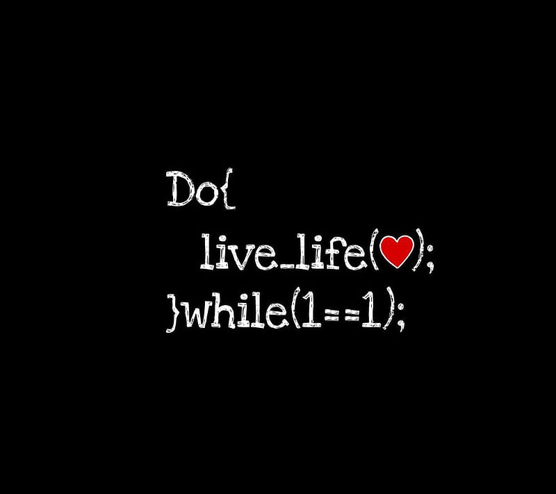 Download wallpaper programming, function of life, script, section