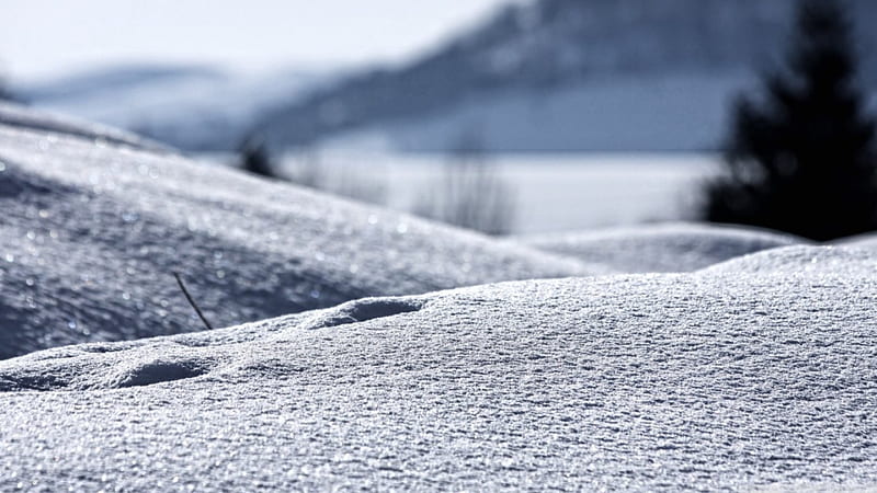 Snow close-up abstract, winter, cold, graphy, snow macro, close-up, ice, nature, scene, landscape, HD wallpaper