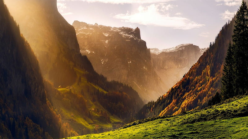 superb swiss mountain scape, forest, grass, mountains, lodges, valley, mist, HD wallpaper