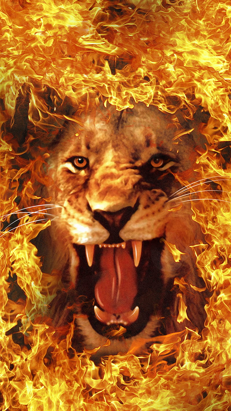 Fire Lion, Fenrir, HD phone wallpaper | Peakpx
