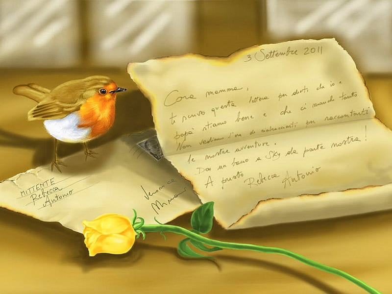 Letter, pretty, chicken, rose, words, yellow, bonito, adorable, animal, sweet, leaves, nice, love, painting, room, art, lovely, cute, bird, petals, HD wallpaper