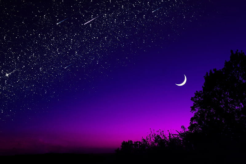 Crescent and shooting stars, Night sky, Silhouette, Moon, Tree, Midnight, Starry night, HD wallpaper