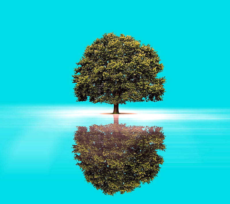 Reflection, let, love, me, tree, material, you, HD wallpaper