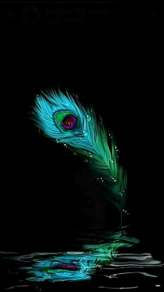Krishna, feather, peacock, HD phone wallpaper | Peakpx
