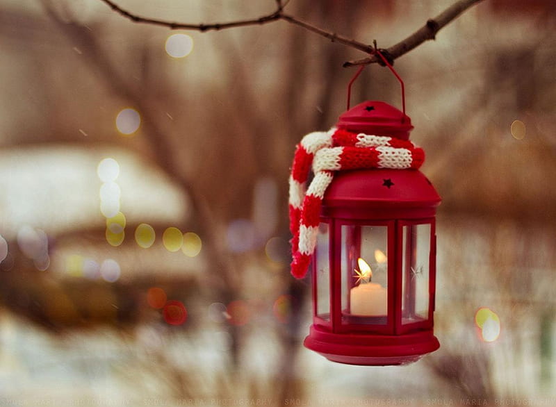 Hello, winter!, cute, tree, holidays, nice, lantern, merry christmas, street, winter, HD wallpaper