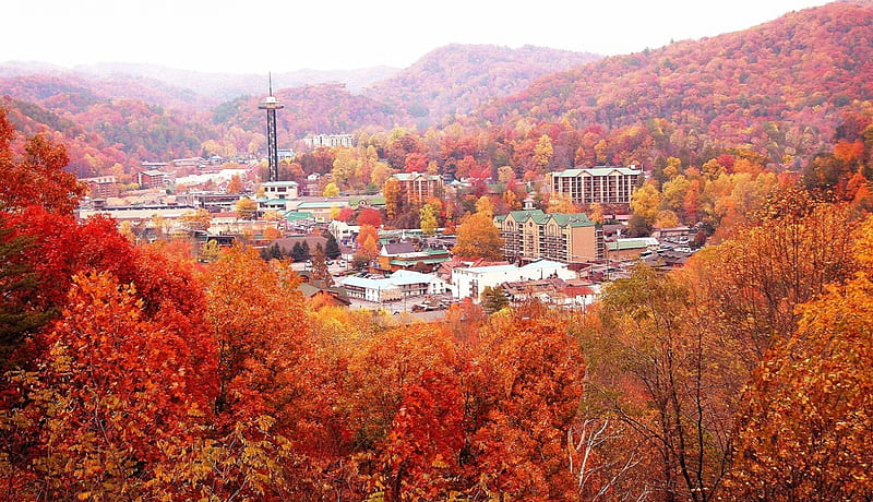 Gatlinburg and Great Smoky Mountains, city, leaves, houses, colors, forests, trees, landscape, HD wallpaper