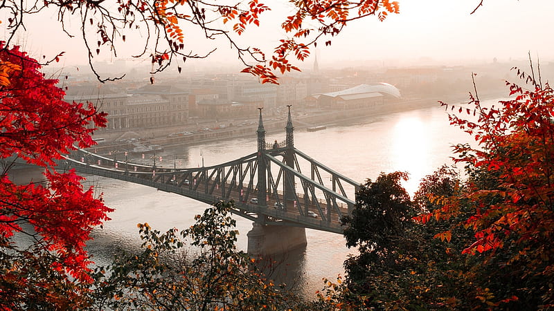 Liberty Bridge, Budapest, Hungary, autumn, hungary, red leaf, bridge, river, nature, HD wallpaper