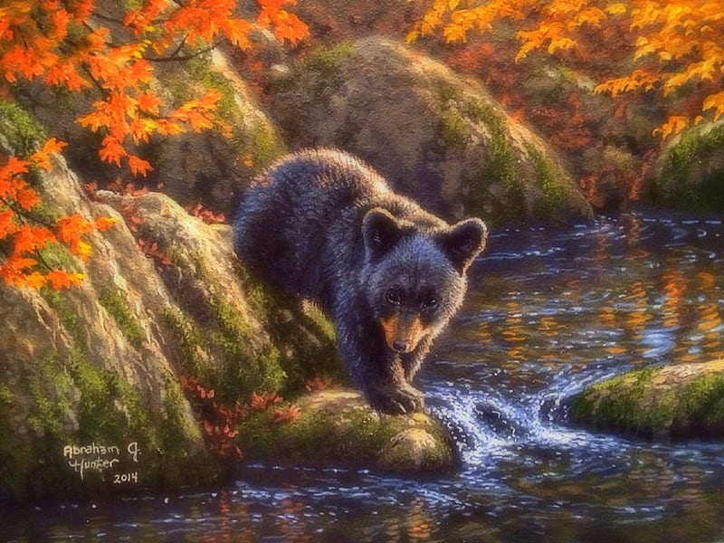 Grizzly Cub, fall, autumn, lovely, colors, love four seasons, trees, cute, leaves, paintings, wildlife, nature, bears, forests, streams, animals, HD wallpaper