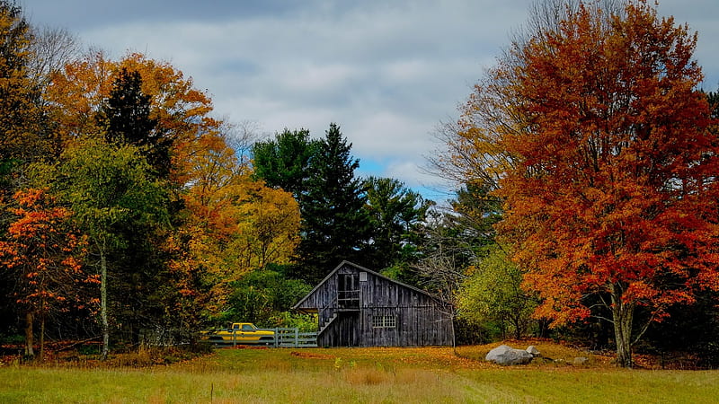 Autumn in Kent County, Michigan, fall, leaves, car, colors, shed, trees ...