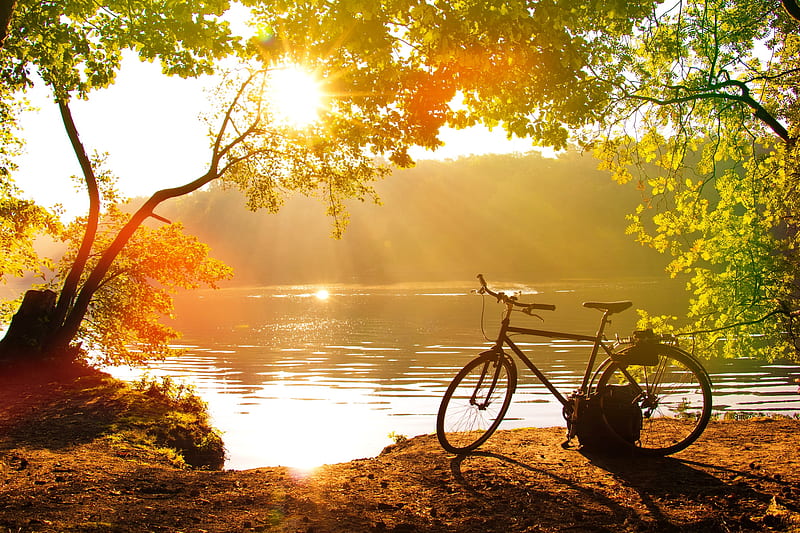 Autumn breeze, fall, autumn, sun, fresh, golden, breeze, bicycle, lake, tree, rays, river, morning, HD wallpaper