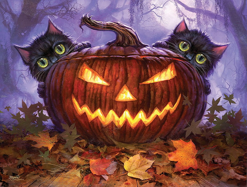 Scaredy Cat, leaves, Pumpkin, cats, halloween, HD wallpaper
