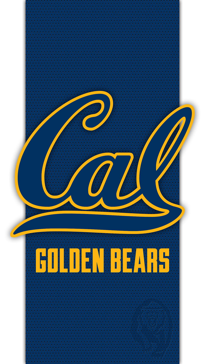 California, bears, berkeley, cal, golden bears, ncaa, HD phone wallpaper