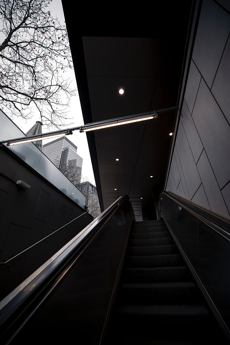 escalator, stairs, rise, buildings, trees, HD phone wallpaper