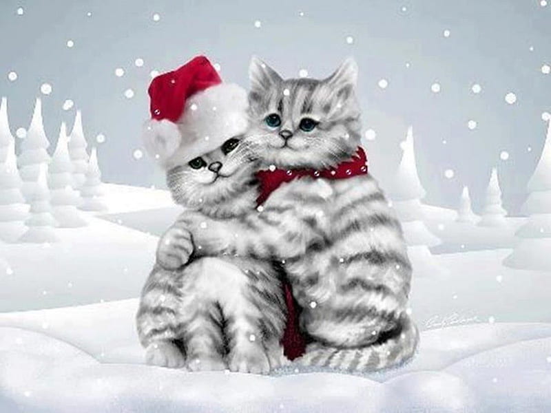 Cat hug, scarves, hug, hats, snow, cats, winter, HD wallpaper
