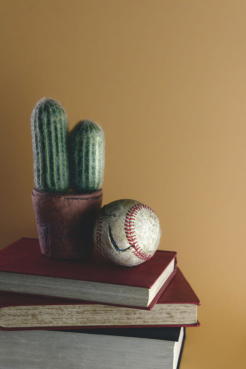 ball, cactus, books, HD phone wallpaper