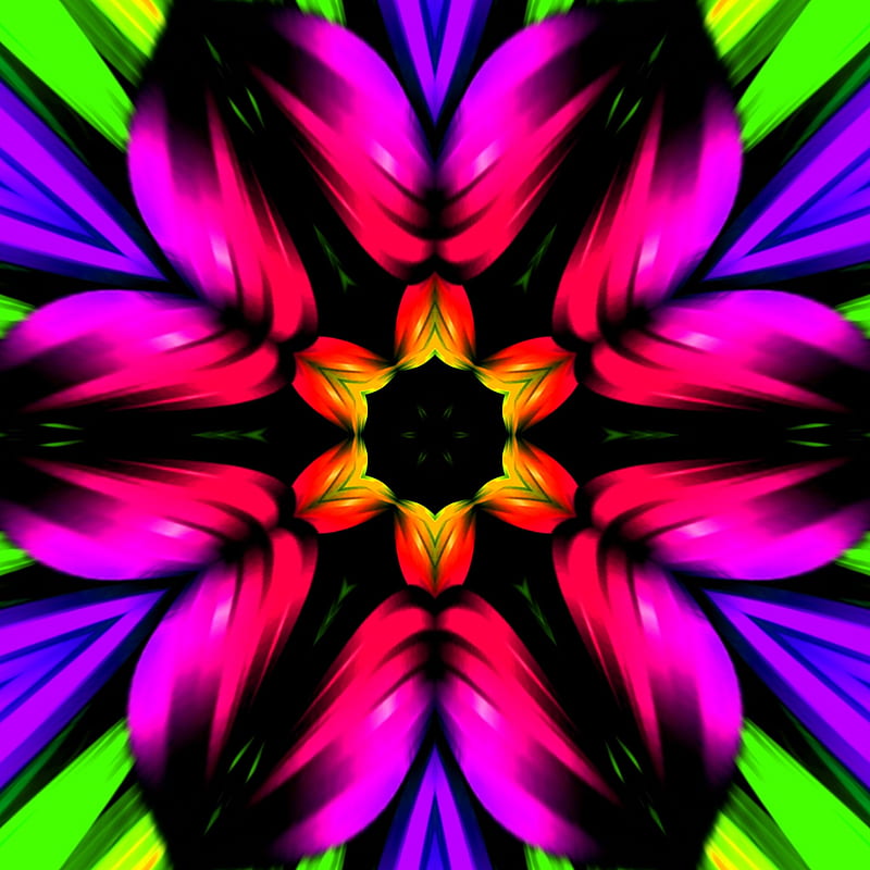 Neon Flower , black, bright, lime green, purple, springtime, sweet, yellow, HD phone wallpaper