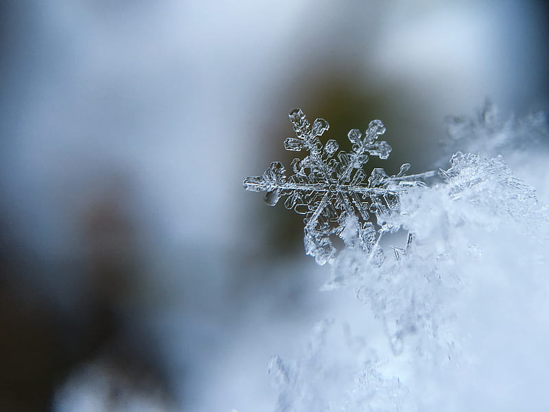 focused of a snow flake, HD wallpaper