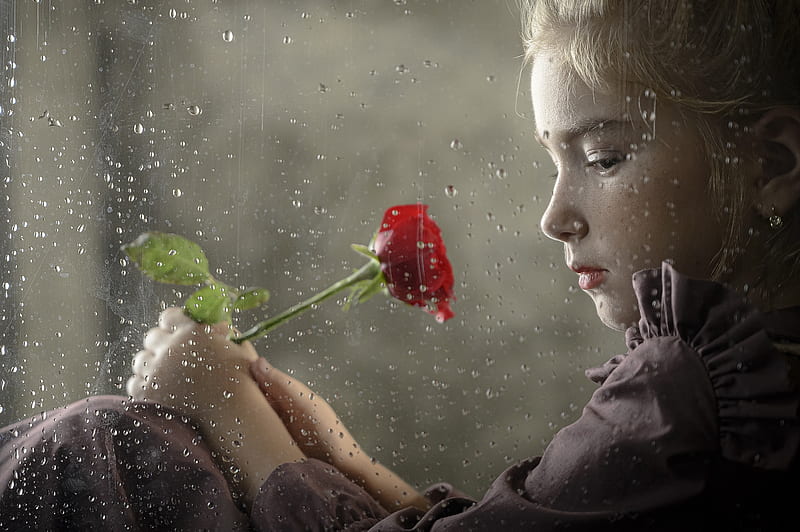 Little Girl, Rose, Girl, rain, Window, HD wallpaper