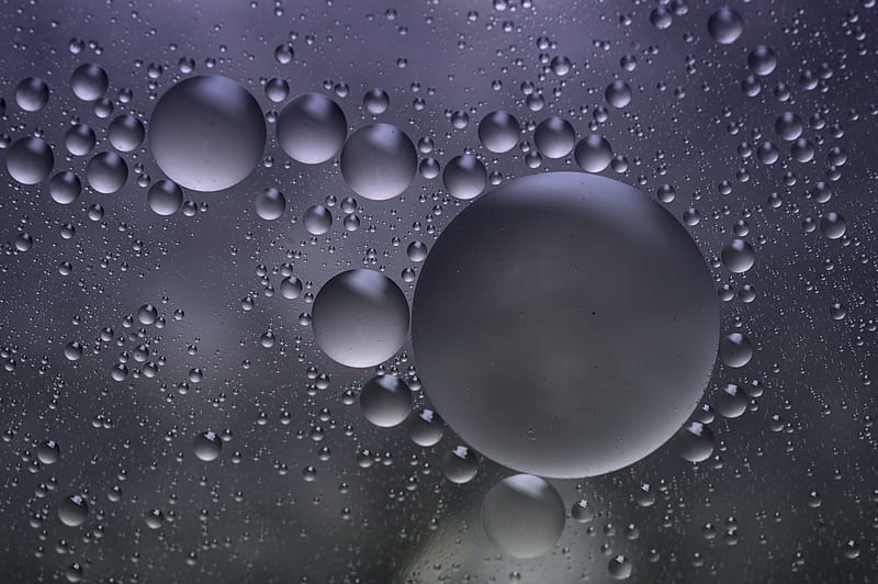 bubbles, water, round, gray, HD wallpaper