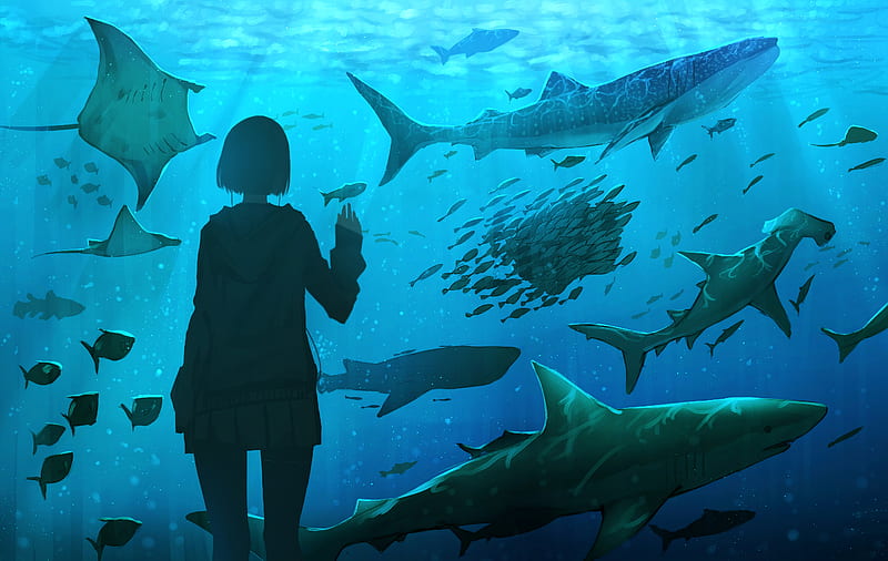 girl, aquarium, fish, underwater world, art, HD wallpaper