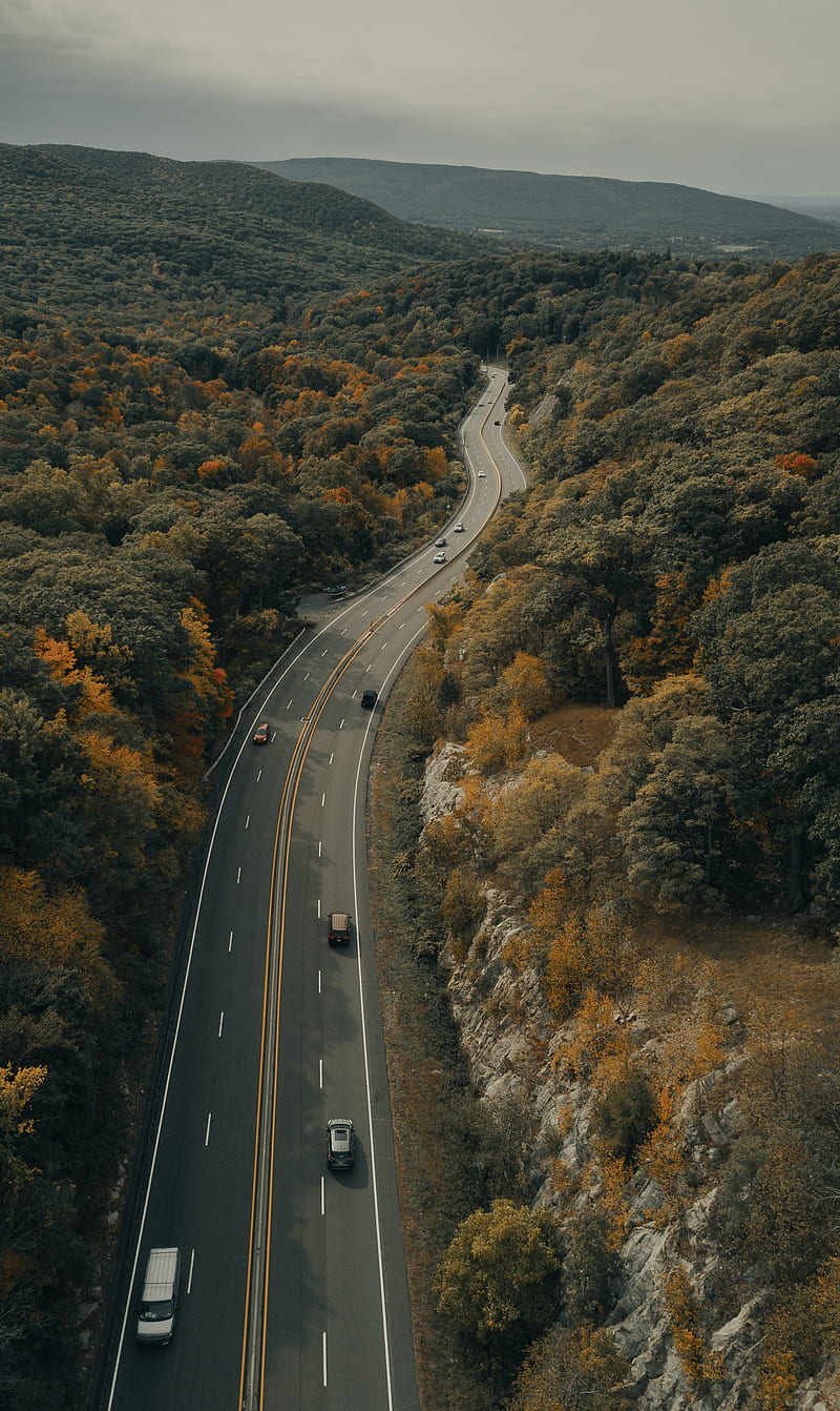 road, carros, forest, trees, autumn, HD phone wallpaper