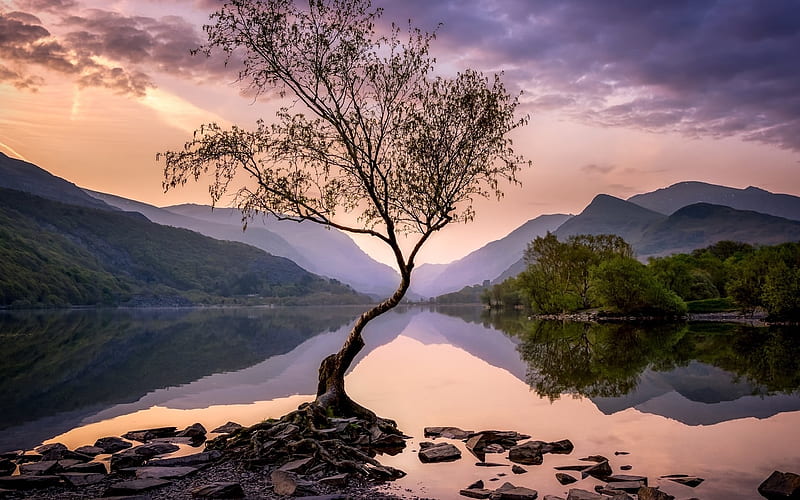 Lake in Wales, UK, tree, Wales, mountains, lake, HD wallpaper