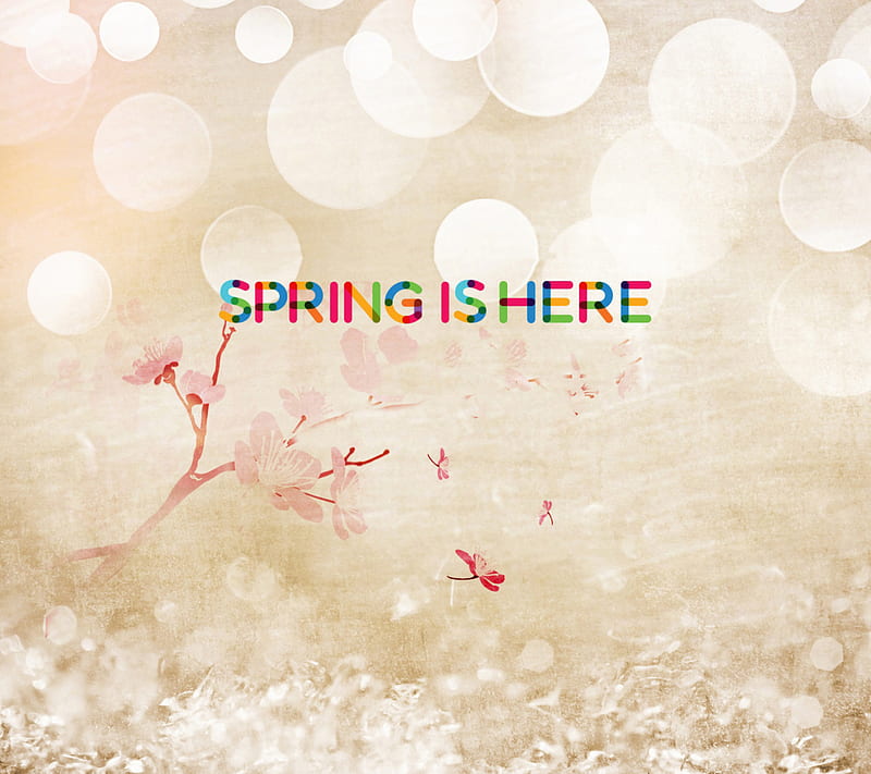 Spring Is Here, phrases, HD wallpaper