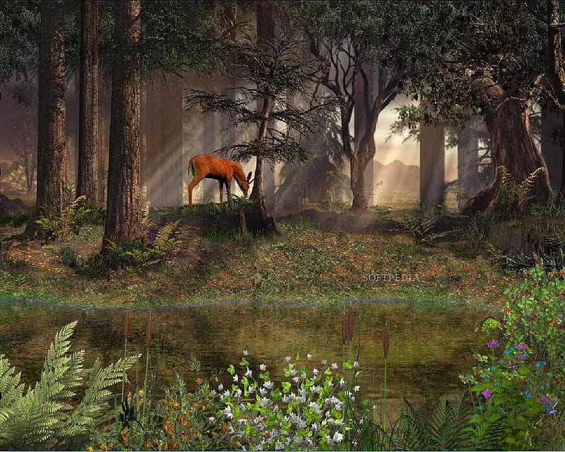 DEEP IN THE FOREST A BEAUTIFUL DEER, bonito, gorgeous, scene, deer, HD wallpaper