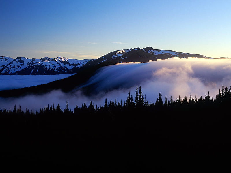 Fog-and-Mountains, cool, olympic-national-park, mountains, washington, fog, HD wallpaper